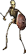 Skeleton